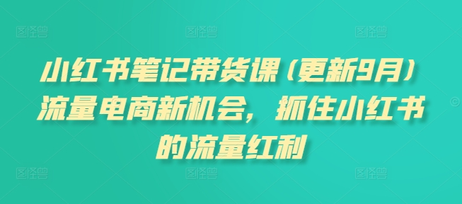 小红书笔记带货课(更新25年12月)流量电商新机会,抓住小红书的流量红利-灵感工坊云网创