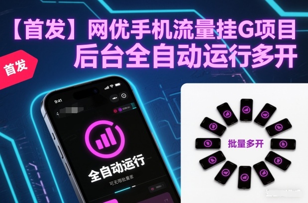【首发】网优手机流量挂G项目,后台全自动运行,可无限批量多开【揭秘】-灵感工坊云网创
